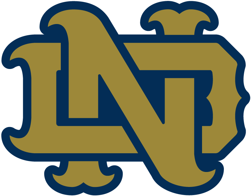 Notre Dame Fighting Irish 1994-Pres Alternate Logo v13 diy fabric transfer